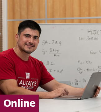 Masters of Information Technology